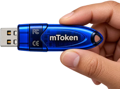 mToken DSC token held in hand